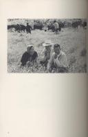 フォト眞　創刊号