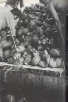 フォト眞　11号