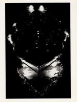 1万5千回の夜の間に