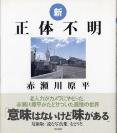新正体不明