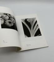 モホリ＝ナジとドイツ新興写真