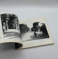 『署名入』太陽の鉛筆