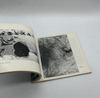 『署名入』太陽の鉛筆