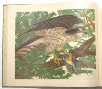 鳥類写生図譜 第一～三集　3冊