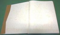 Ancient Egyptian Paintings　Vol.Ⅰ・Ⅱ・Ⅲ　全3冊揃
