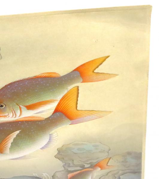 大野麥風　大野麦風　木版画 大野麦風(おおのばくふう) - 大日本魚類画集 キス - 新版画販売