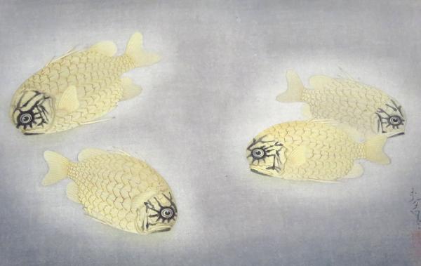 マツカサウオ」（大野麦風『大日本魚類画集』第五輯より）(大野麦風