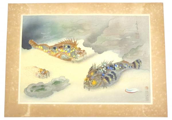 オコゼ」（大野麦風『大日本魚類画集』第三輯より）(大野麦風) / 古本