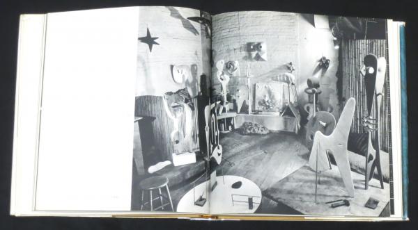 isamu noguchi a sculptor's world （イサム・ノグチ自叙伝