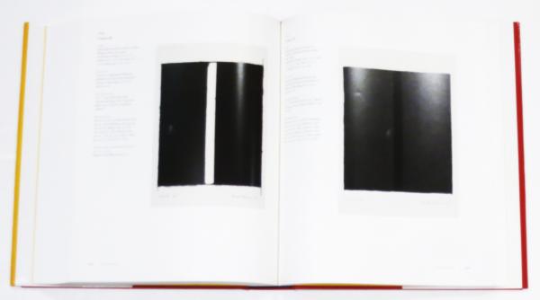 Barnett Newman : A Catalogue Raisonne (バーネット