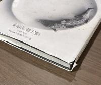 Gustavo ISOE's Works 1974-2007　磯江毅写実考