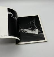写真集　視点　第5回公募作品