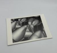 「サイン入」Hypothalamus