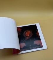 『サイン入』聖地　SACRED PLACES