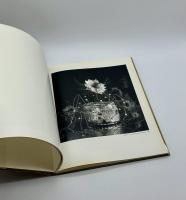 STILL LIFES