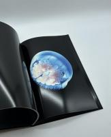 『サイン入』VENENUM