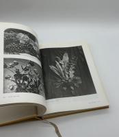 A World History of Photography 写真の歴史