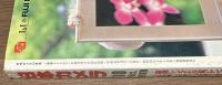 日本カメラ　1989年10月号