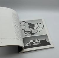 INTERCULTURAL ARCHITECTURE The Philosophy of Symbiosis