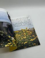 GOLDEN HOUR issue #2