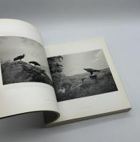 HIROSHI SUGIMOTO