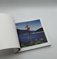 エロスの刻印