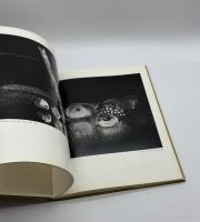 STILL LIFES