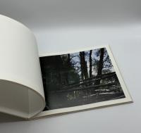 TOWARDS THE WOOD