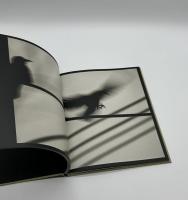 Des oiseaux