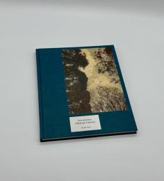 Des oiseaux