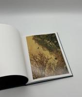Des oiseaux