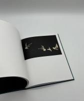 Des oiseaux