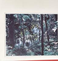 stream of consciousness　意識の流れ