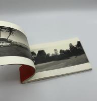 PEACE LAND 1995-2001