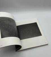 Vija Celmins