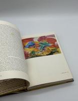Sa Vie Son oeuvre Max Ernst