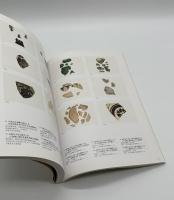 白と黒の競演　中国・磁州窯系陶器の世界