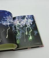 『署名入』愛バナ　アラーキー20年ノ言葉 2001-2020