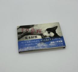 チロ愛死