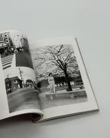 陽子　荒木経惟写真全集3