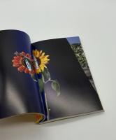 猥褻写真と濹汁綺譚　荒木経惟写真全集14