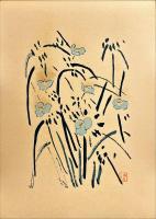 淡彩百科　春夏之部