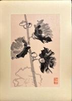 淡彩百科　春夏之部