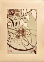 淡彩百科　春夏之部