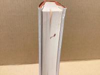 力の場 : 思想史と文化批判のあいだ