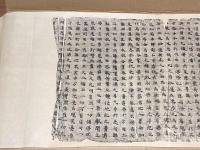 敦煌本　無量壽經　五惡段