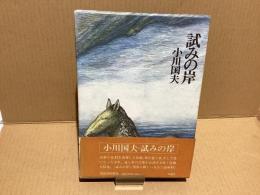 【署名本】試みの岸