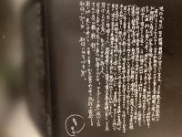 北帰行 : 祖国(北朝鮮)へ帰る