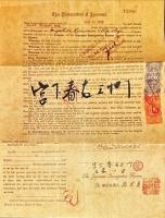図説ハワイ日本人史 : 1885-1924