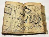 女貞訓下所文庫